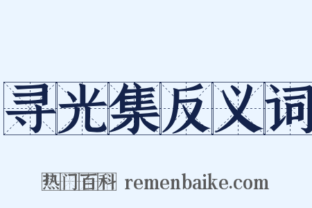寻光集反义词是什么意思的图片